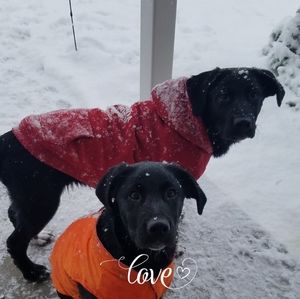 Meet your Posher, Kathy